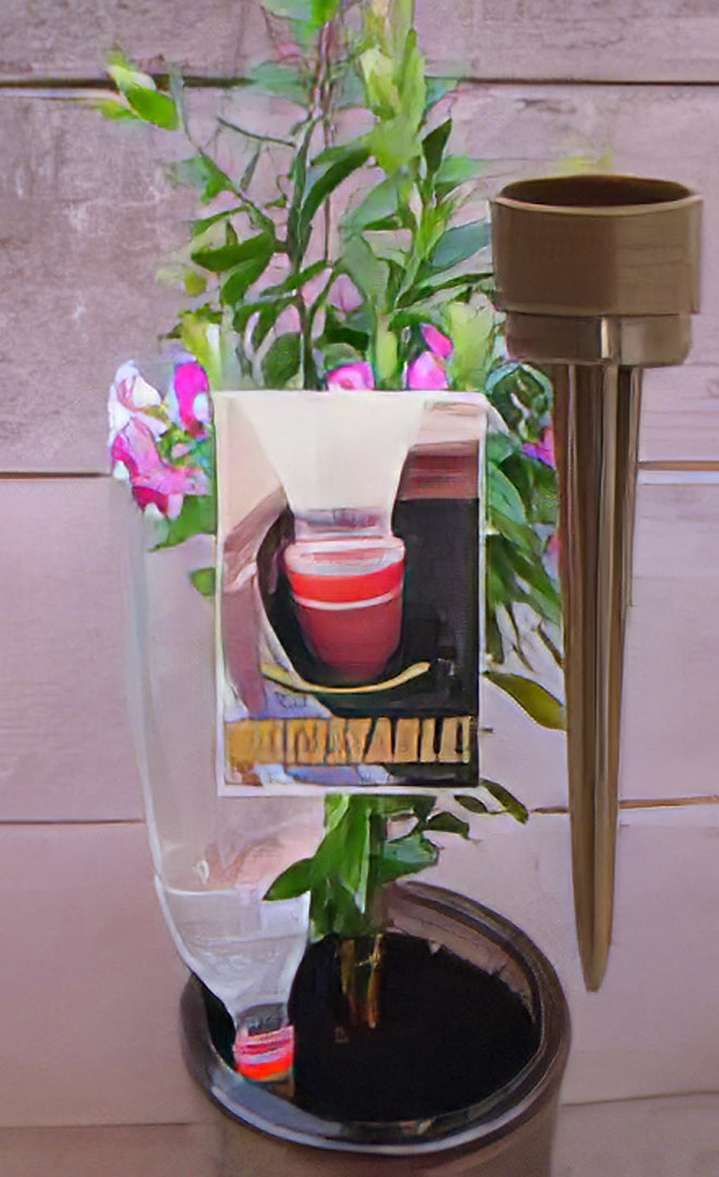 Water Wise - Collection Image - Garden Express