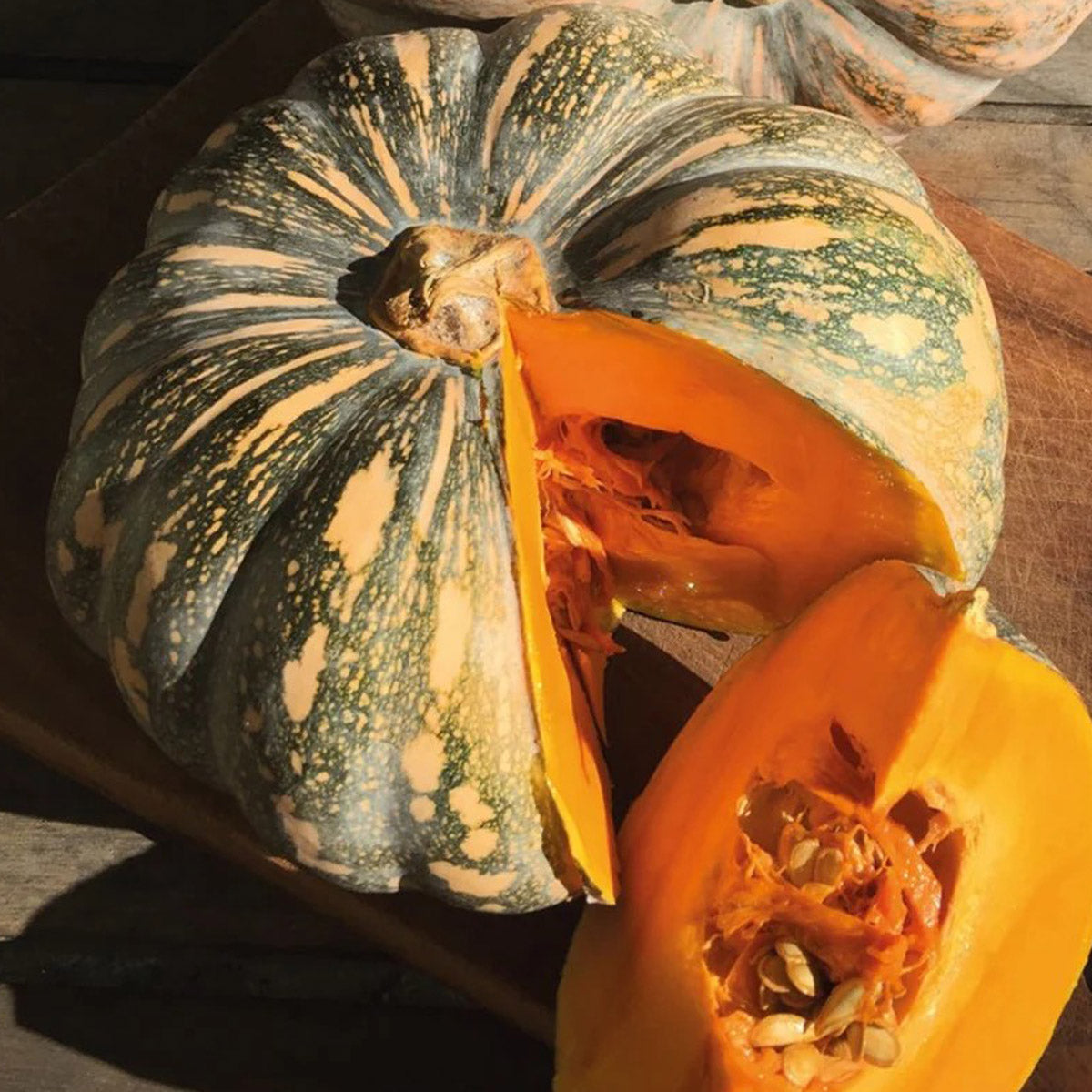 Seed - Pumpkin Kent