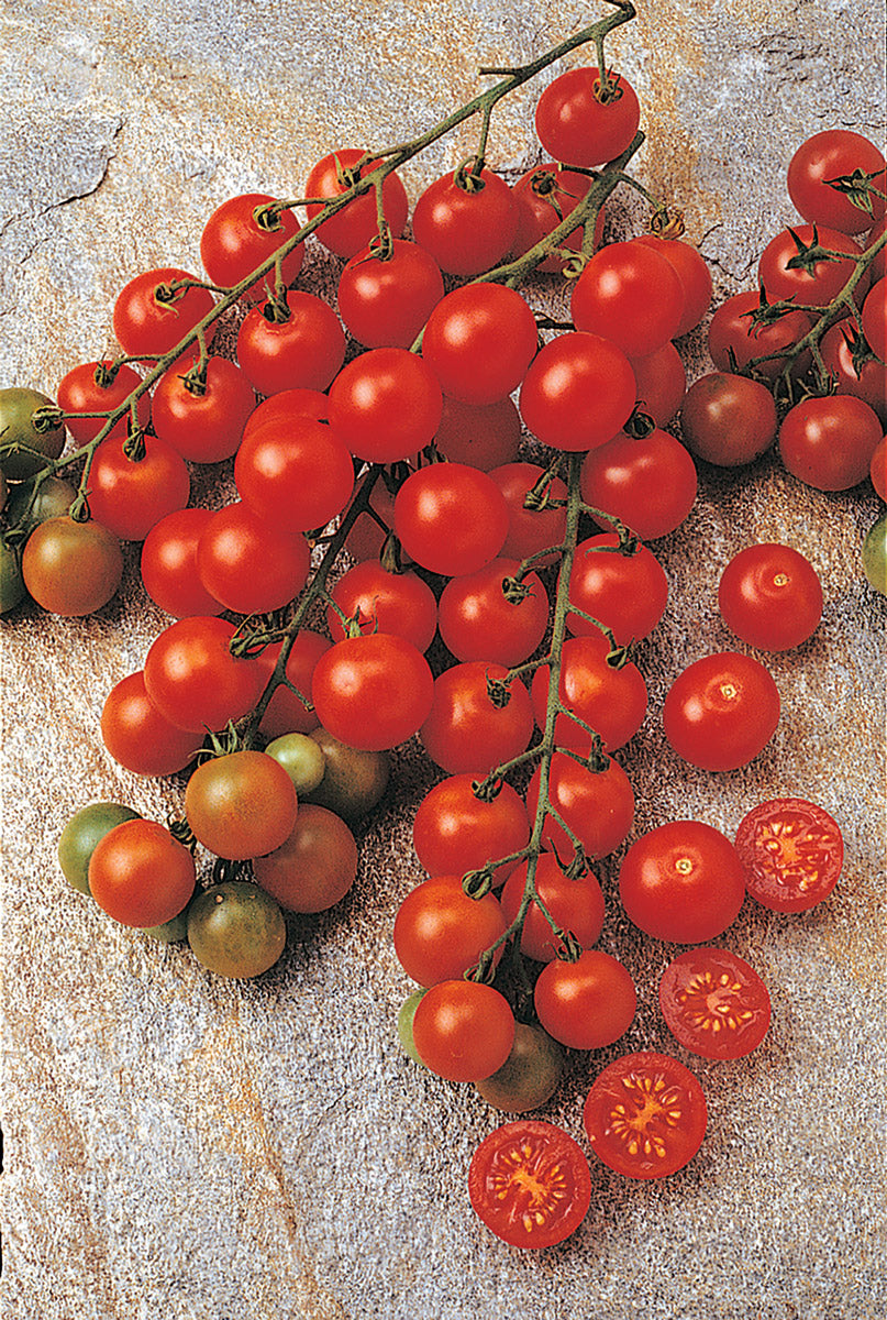 Tomato Sugar Snack