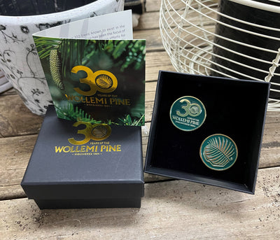 Wollemi Pine Gift Pack 150mm Pot Plus Bonus