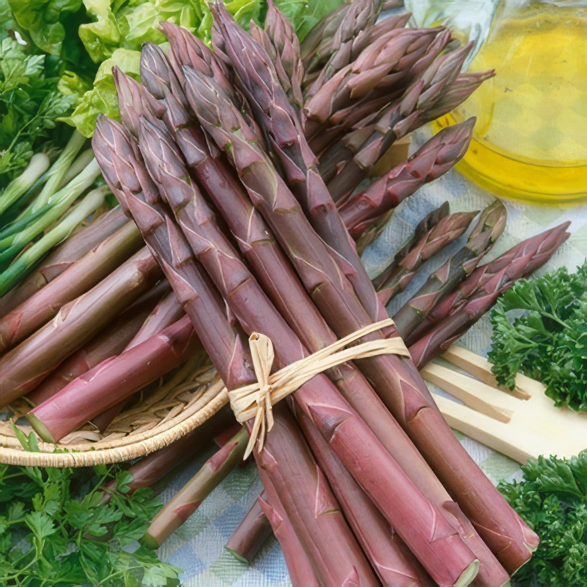 Asparagus Phantom Purple Pkaspppu - Garden Express Australia