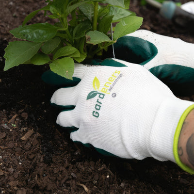Ga Gloves - Garden Express Australia