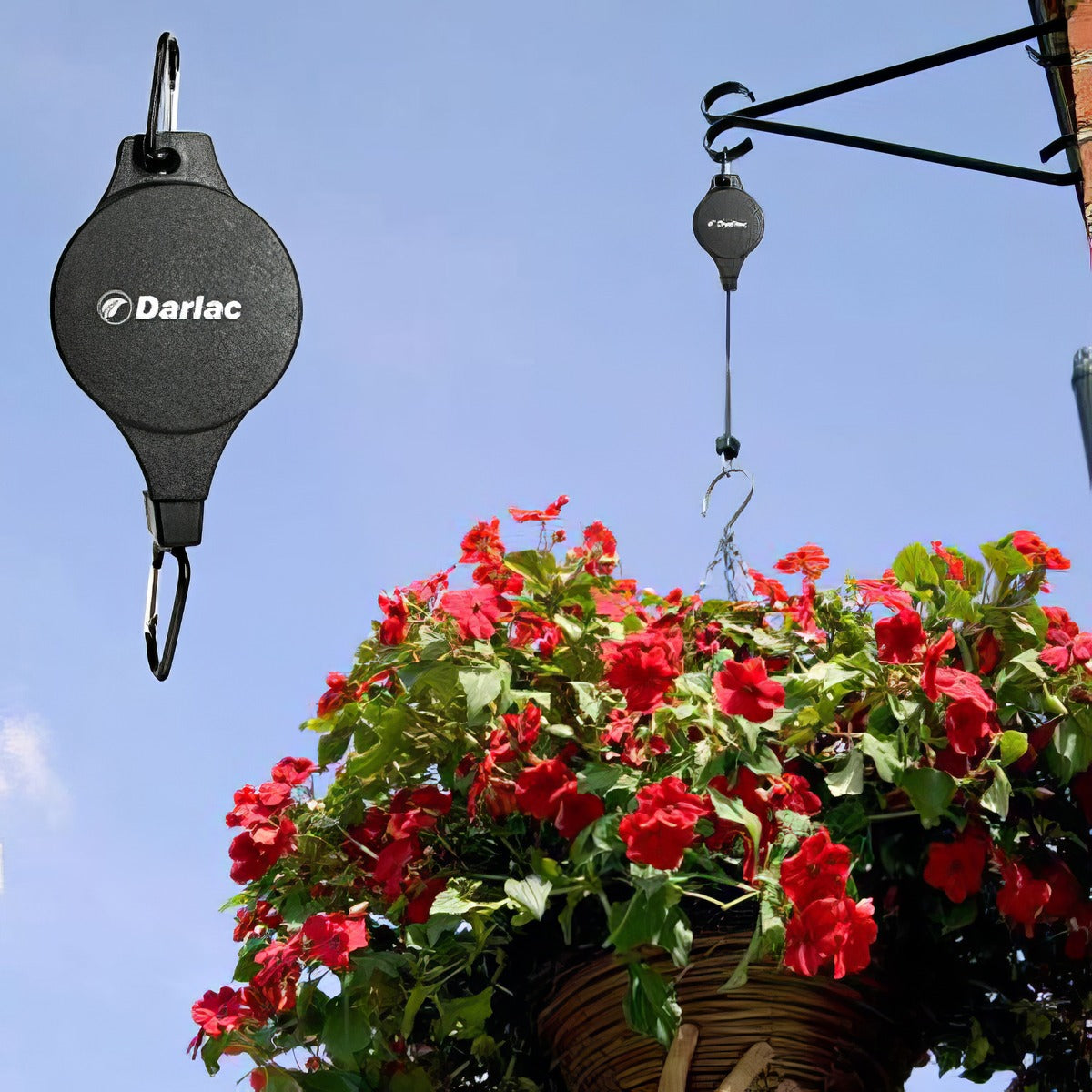 Darlac Hi Lo For Hanging Baskets Accdarhlo - Garden Express Australia