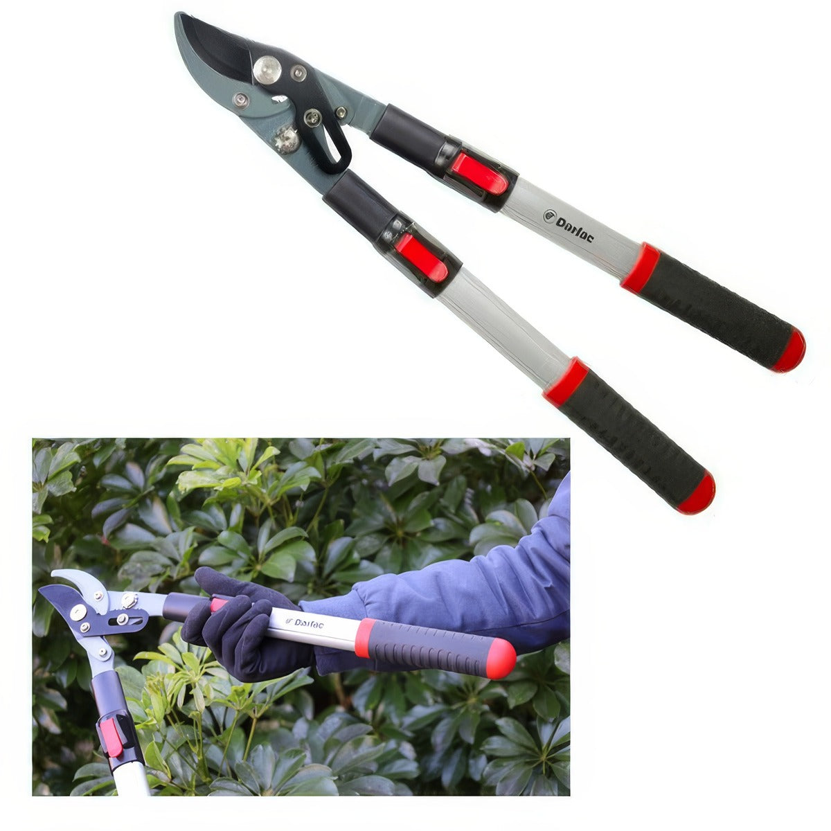 Darlac Tools Telescopic Bypass Lopper Dp940 Accdartbl - Garden Express Australia