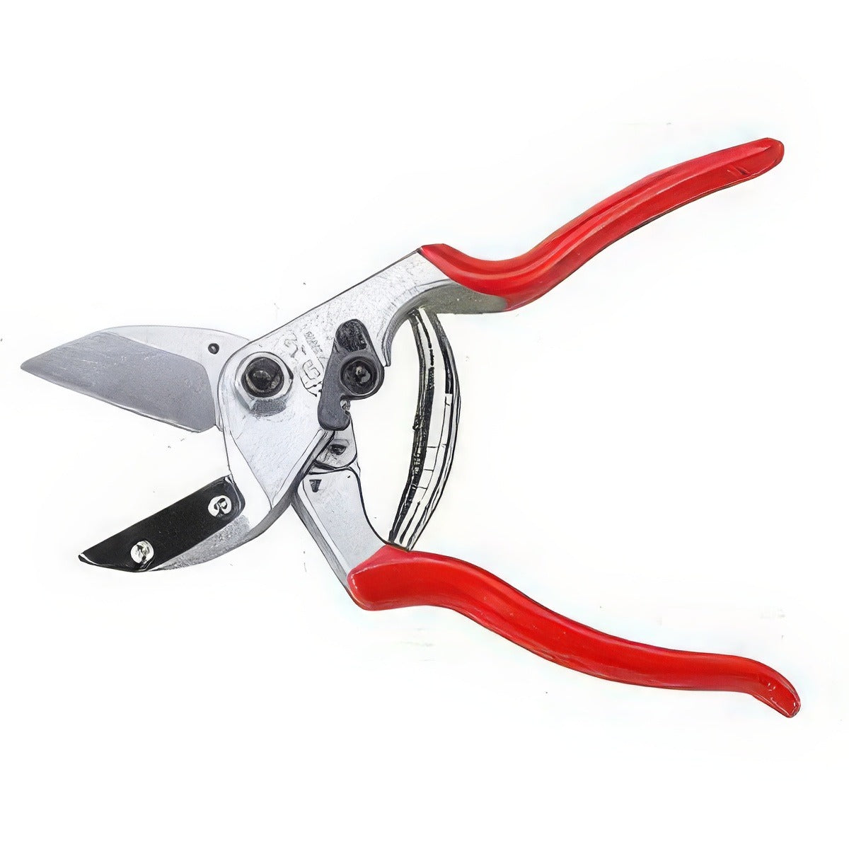 Felco 31 - Garden Express Australia