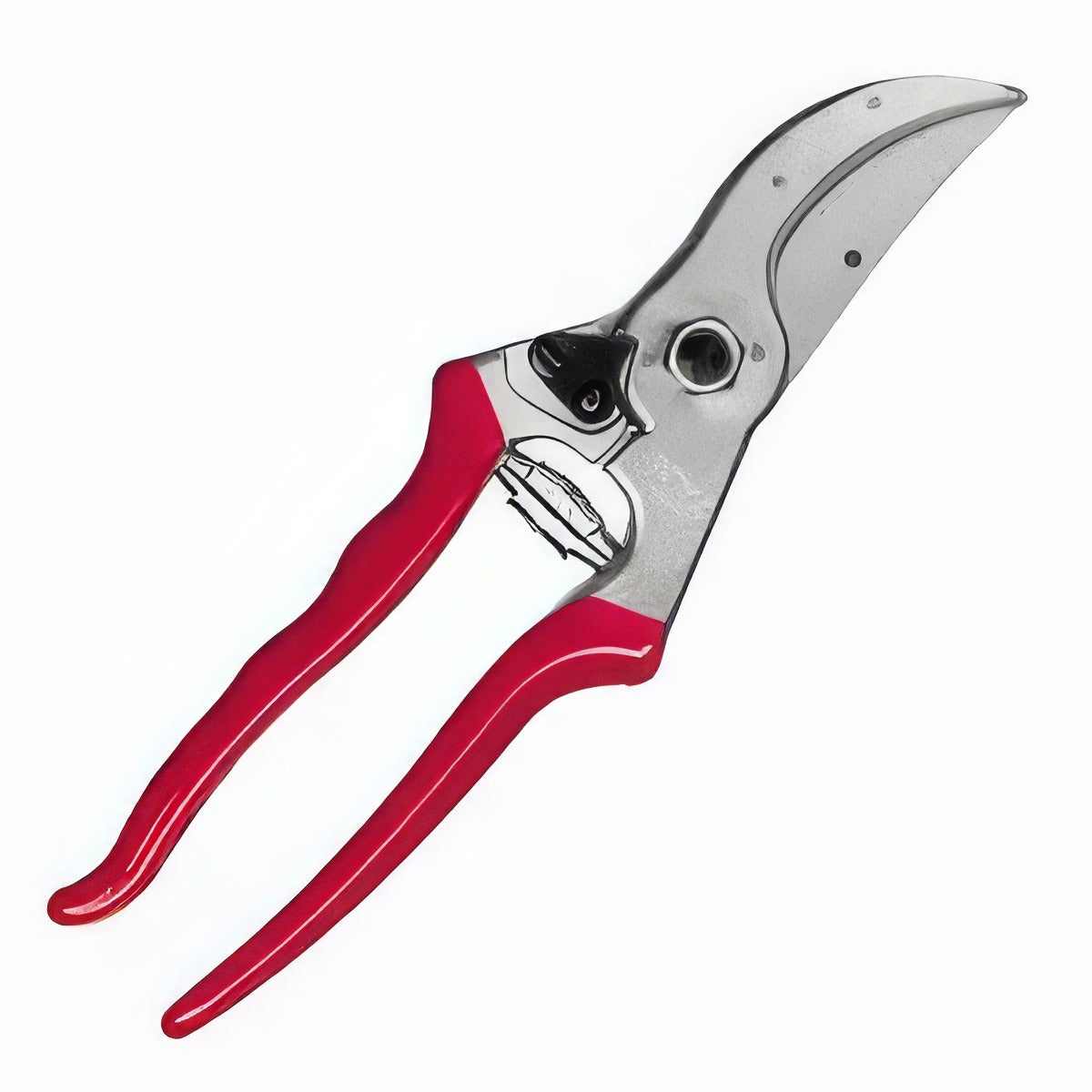 Felco 4 Rotated 2012 - Garden Express Australia