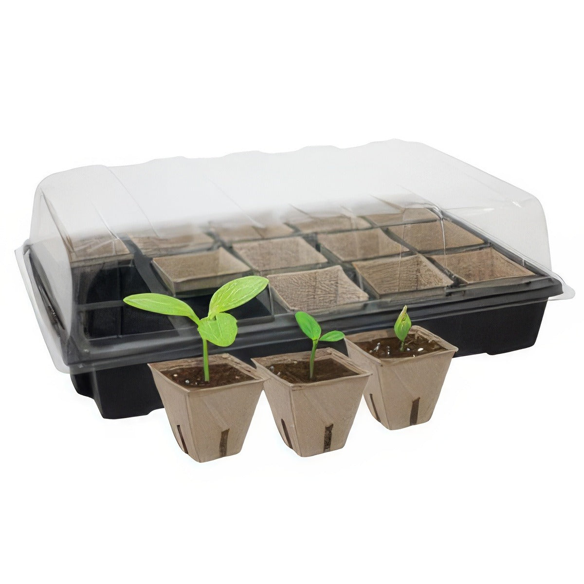 Gardeners Advantage Peat Pots Tray Accgappt - Garden Express Australia