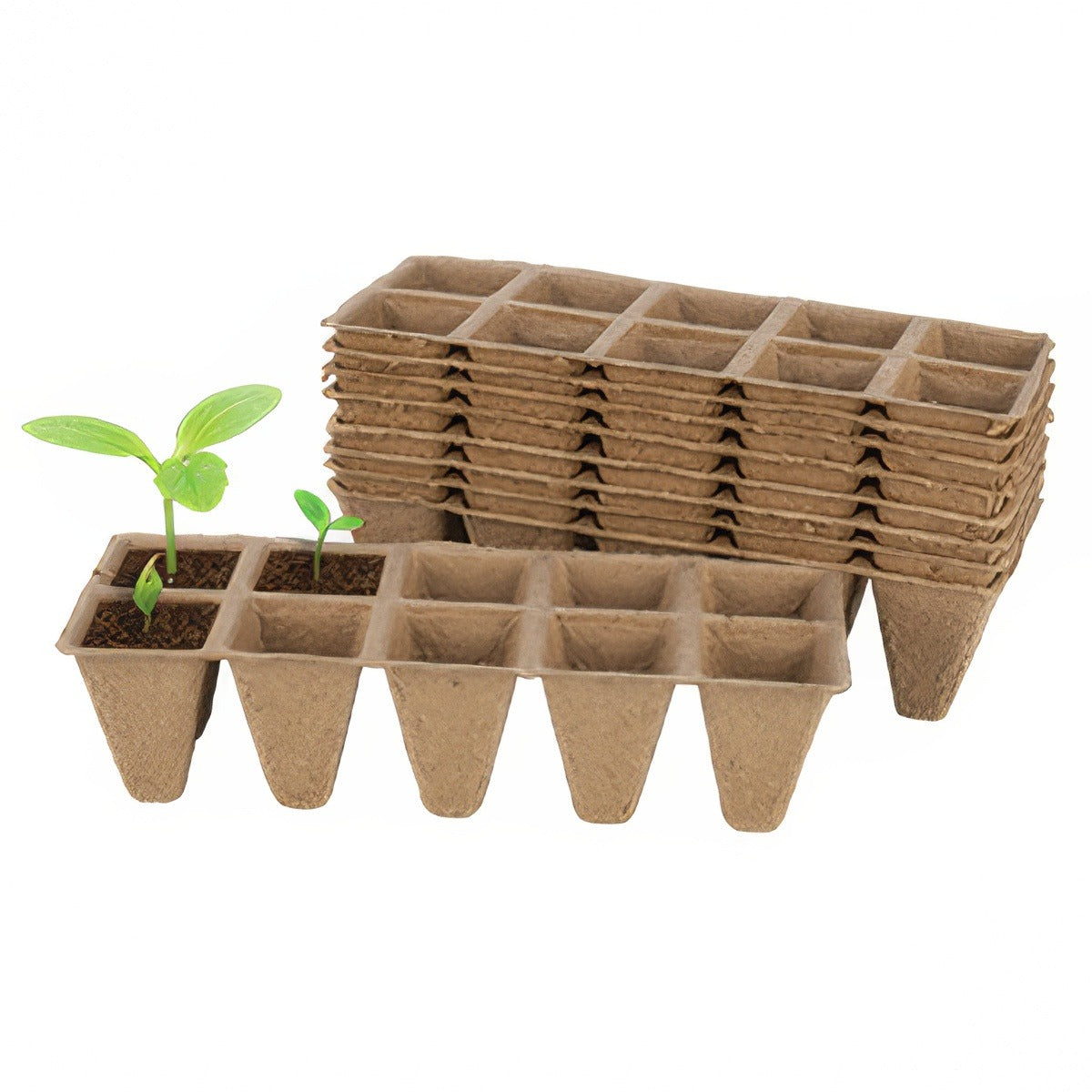 Gardeners Advantage Peat Seedling Trays Accgapst - Garden Express Australia