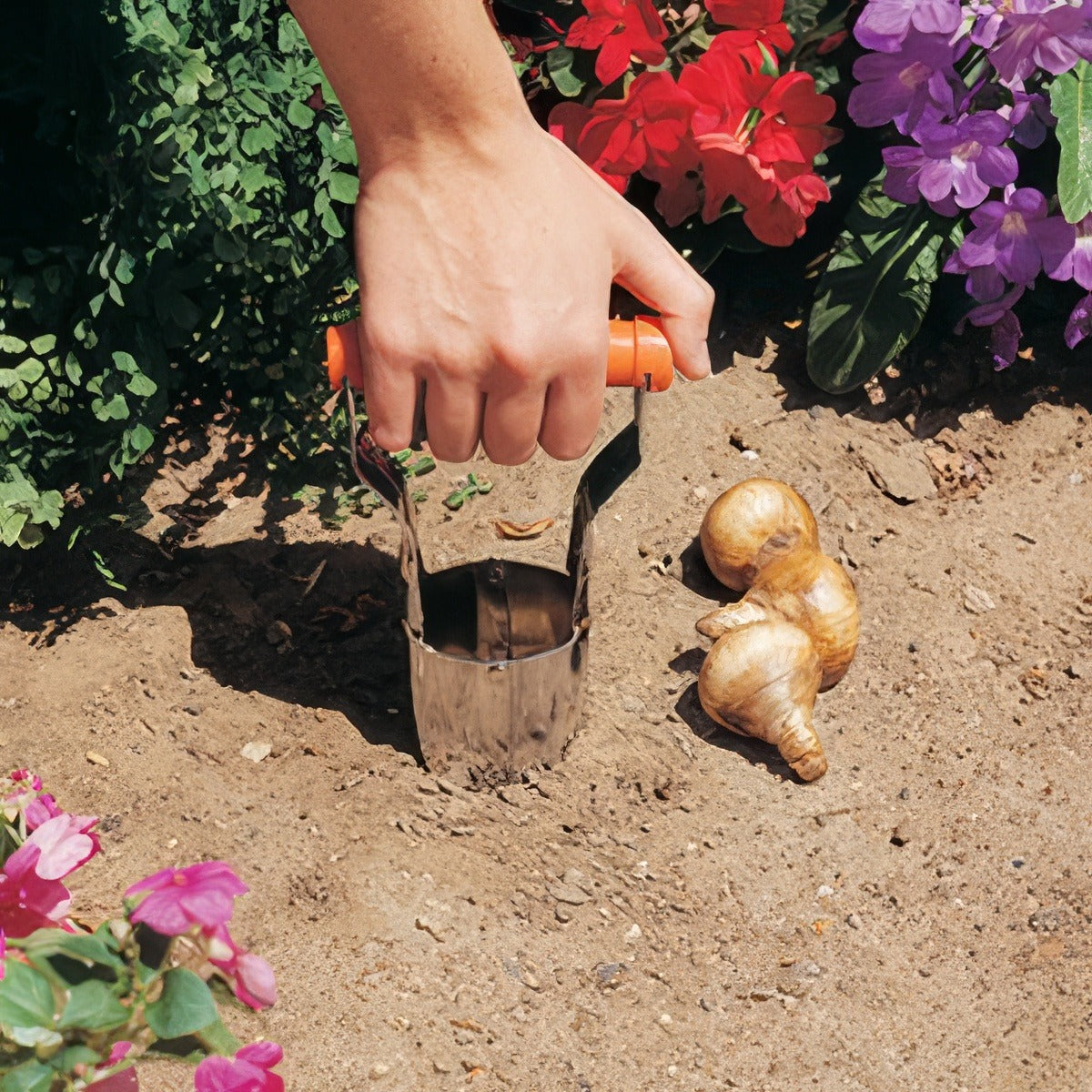 Bulb Planter Step 1 - Garden Express Australia