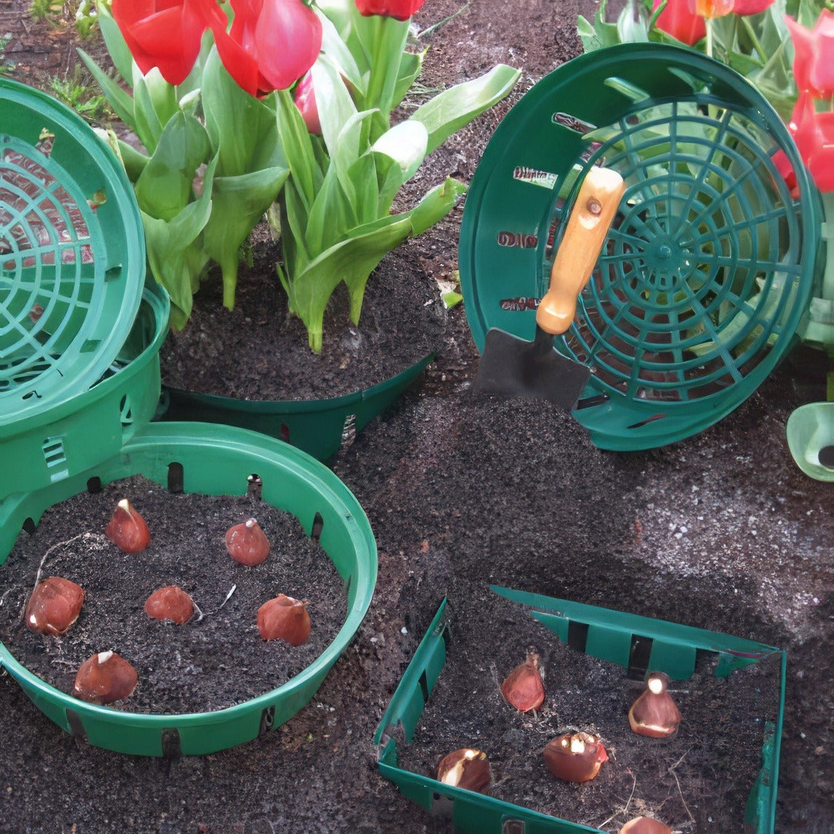 Bulb Baskets New1 - Garden Express Australia