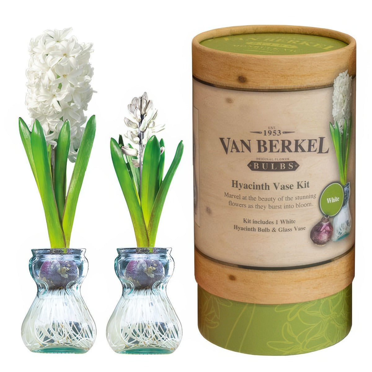 Vb Hyacithvase White - Garden Express Australia