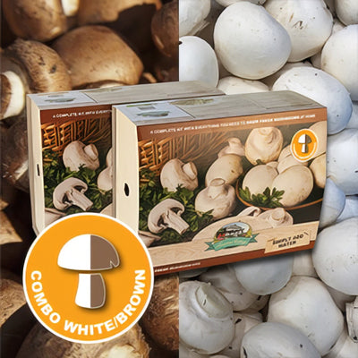 Mushroomkits Combo - Garden Express Australia
