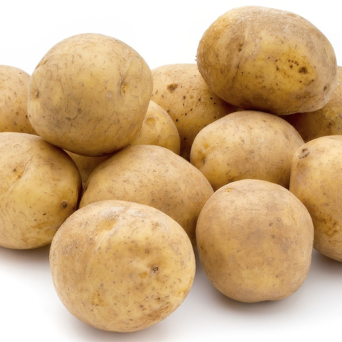 Potato Bliss Pkcspbli - Garden Express Australia