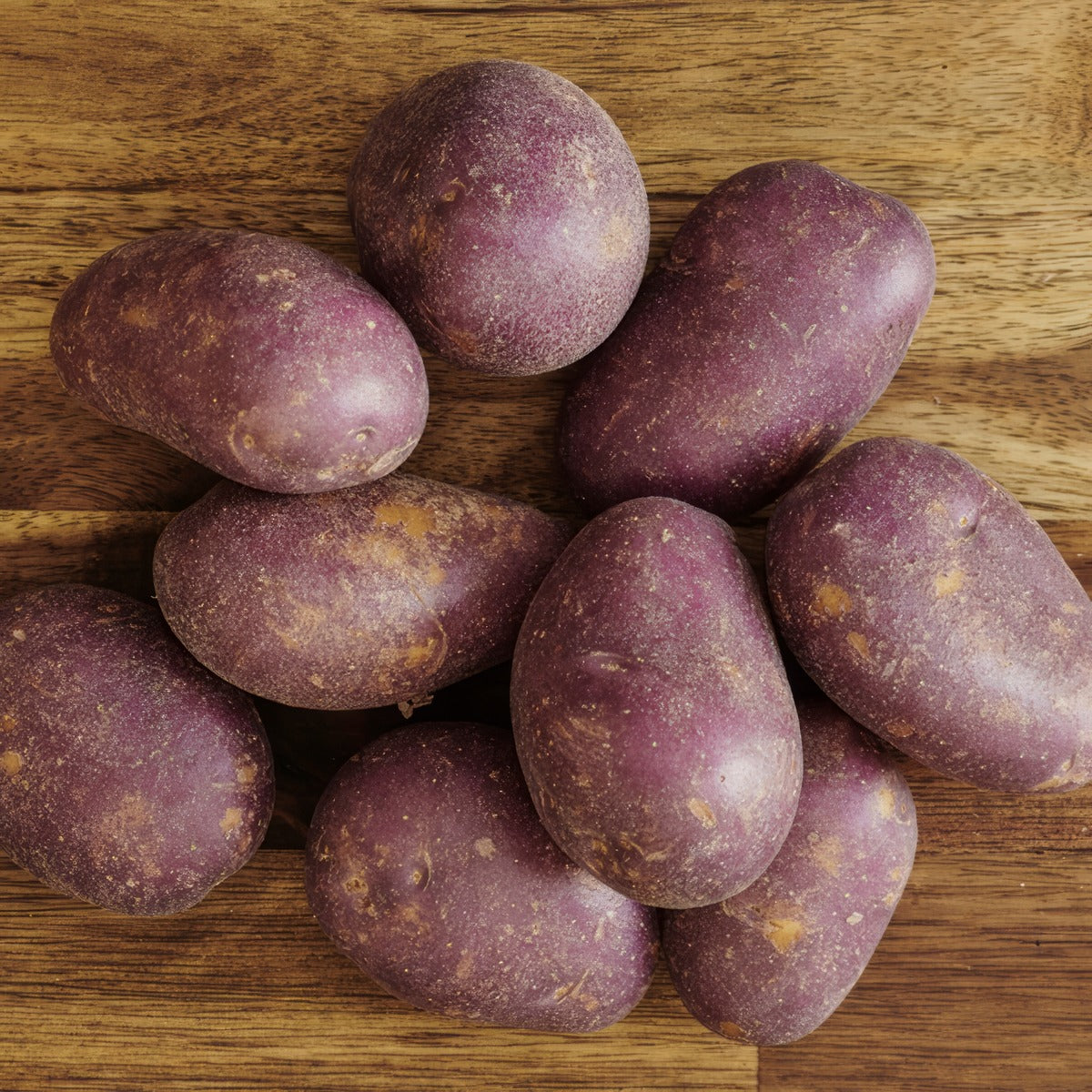 Potato Royal Blue Pkcsprbl 2025 - Garden Express Australia