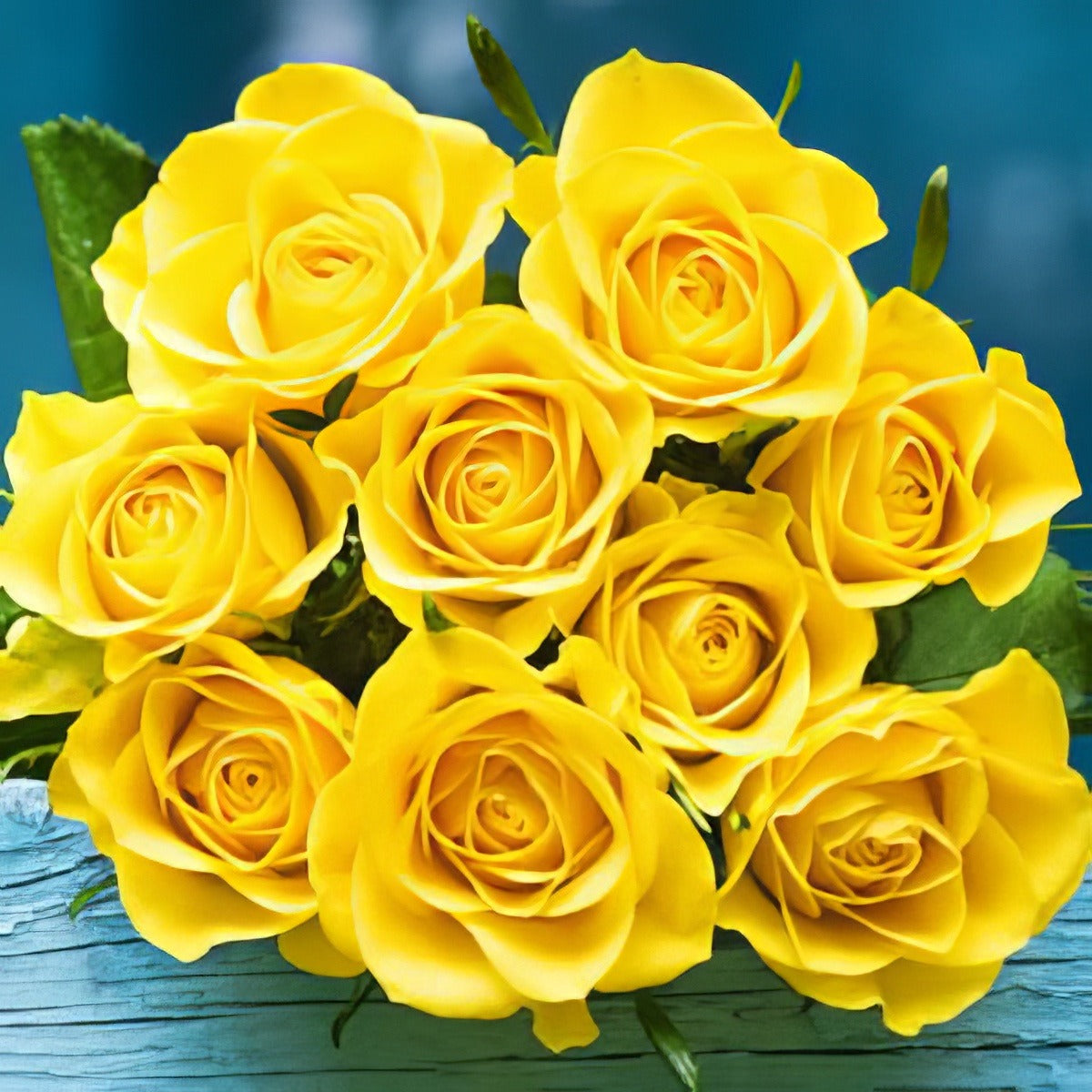 Brindabella Goldie14 - Garden Express Australia