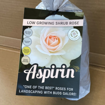Rose Aspirin Rosfasp 2 - Garden Express Australia
