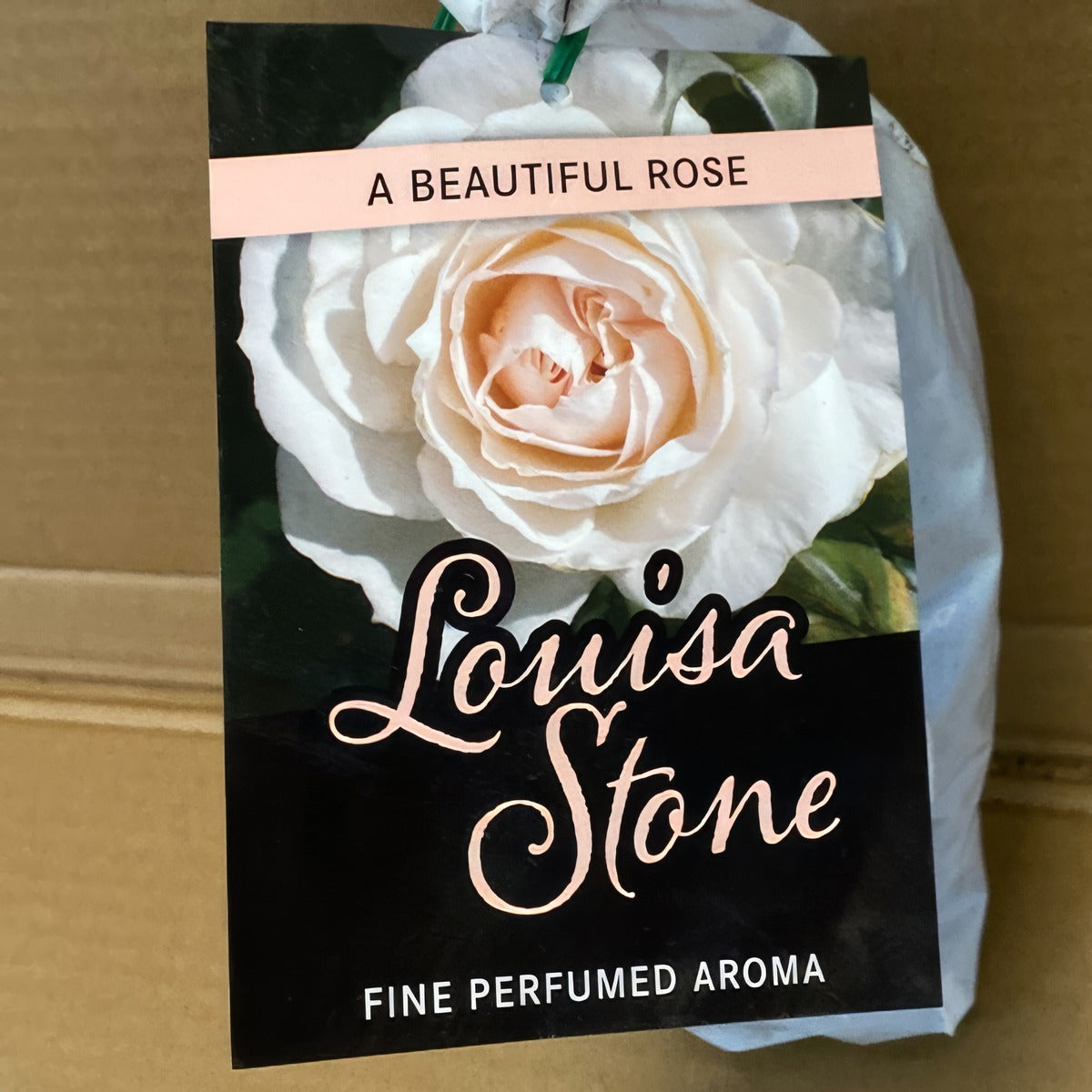 Rose Louisa Stone Rosflst 2 - Garden Express Australia