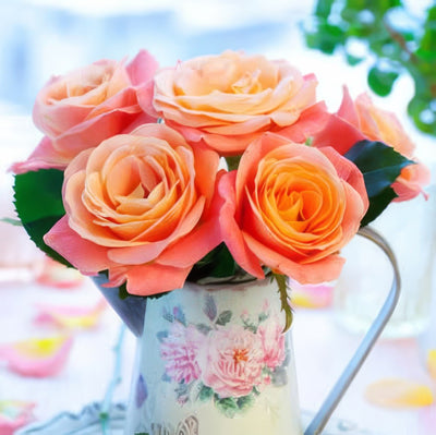 Joyfullness 13 - Garden Express Australia