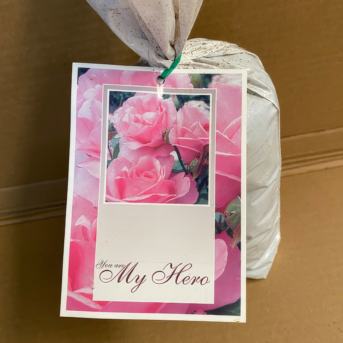 Rose My Hero Roshmhe 2 - Garden Express Australia
