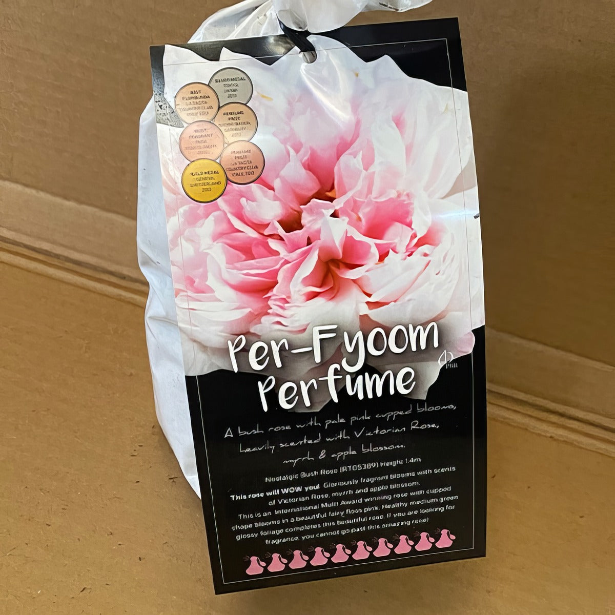 Modshrub Per Fyoom Perfume Rosmsppf 2 - Garden Express Australia