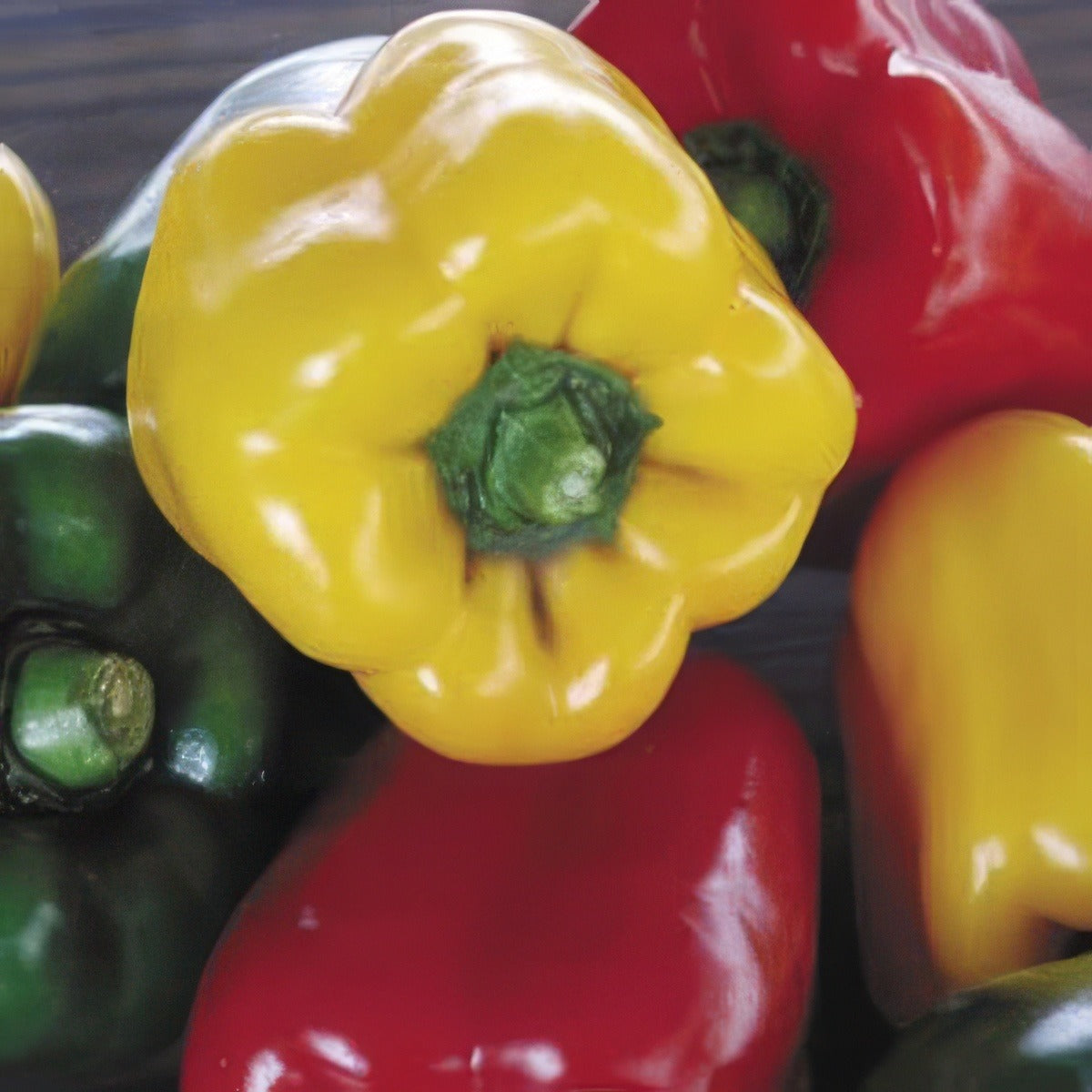 Vege Seed Capsicum 2012 - Garden Express Australia