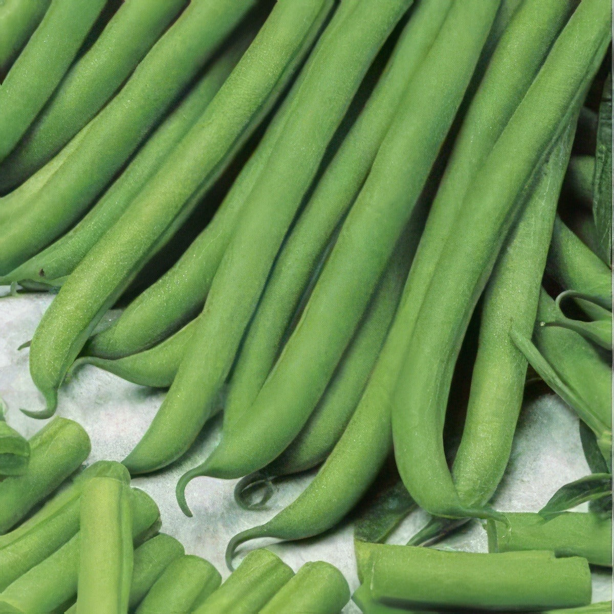 Bean Brown Beauty - Garden Express Australia
