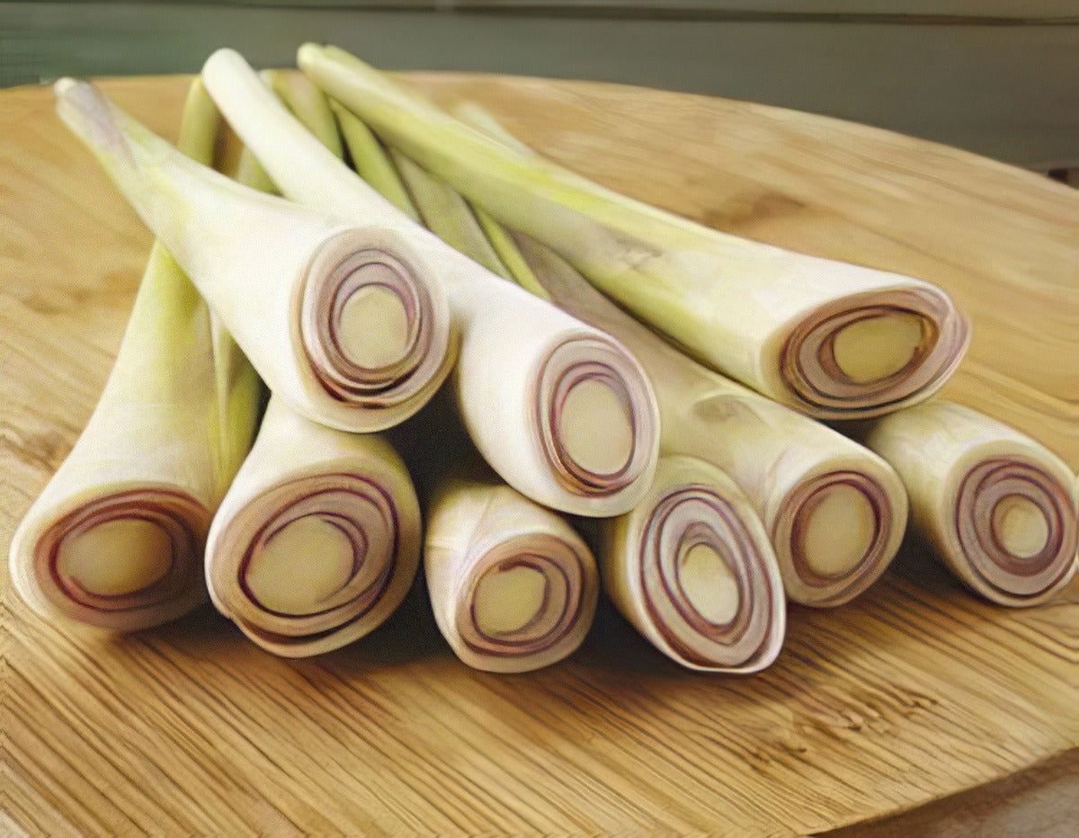 Lemongrass16 - Garden Express Australia
