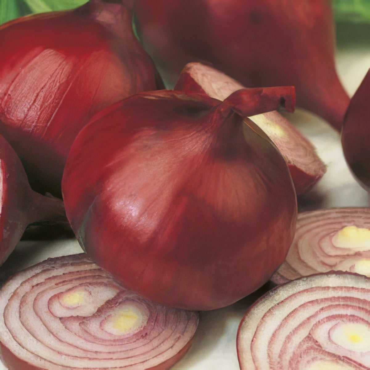 Seed Onion Early Californian Red Seeoniecr - Garden Express Australia