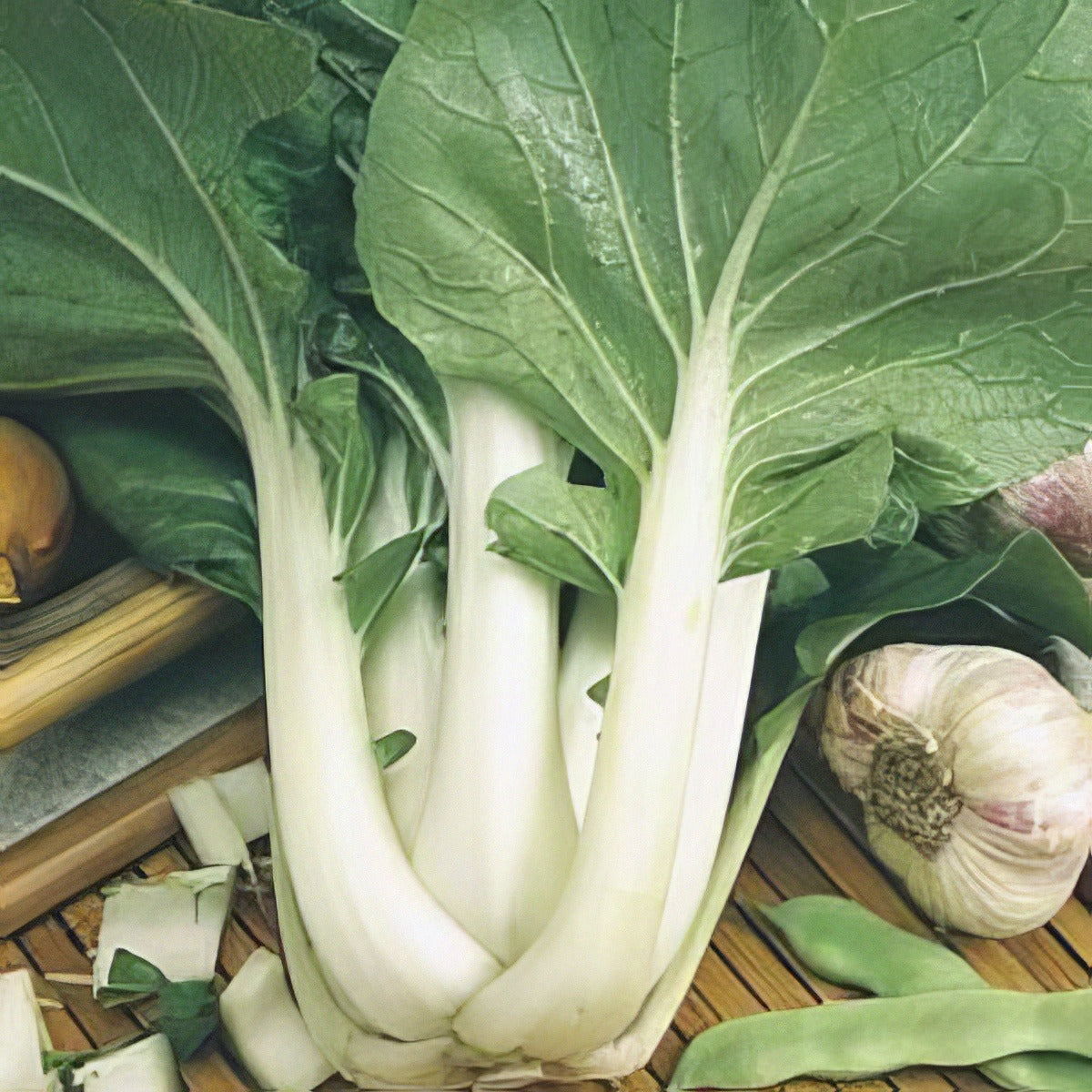 Pak Choi - Garden Express Australia