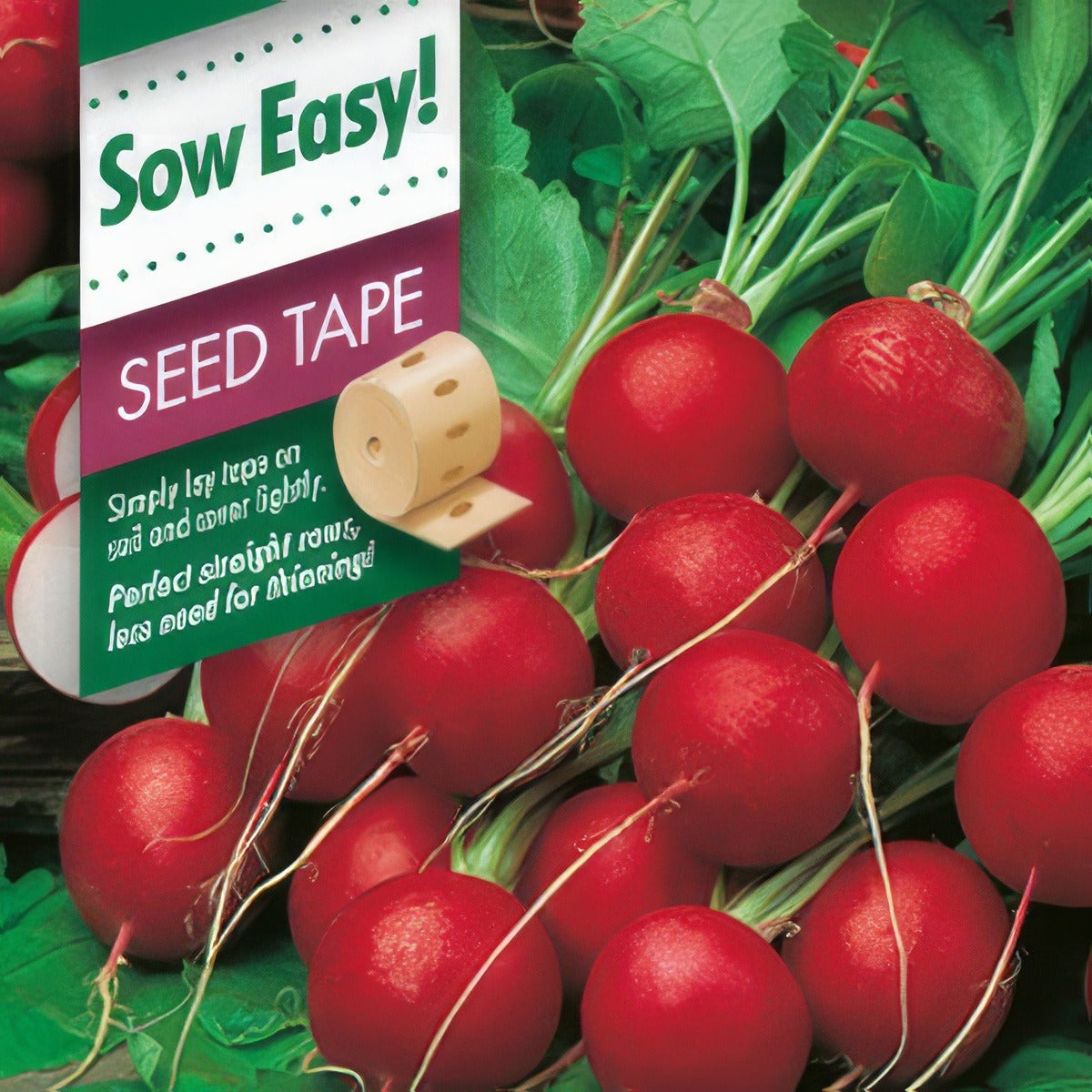Radish Cherry Belle Seed Tape Seeradcbt - Garden Express Australia