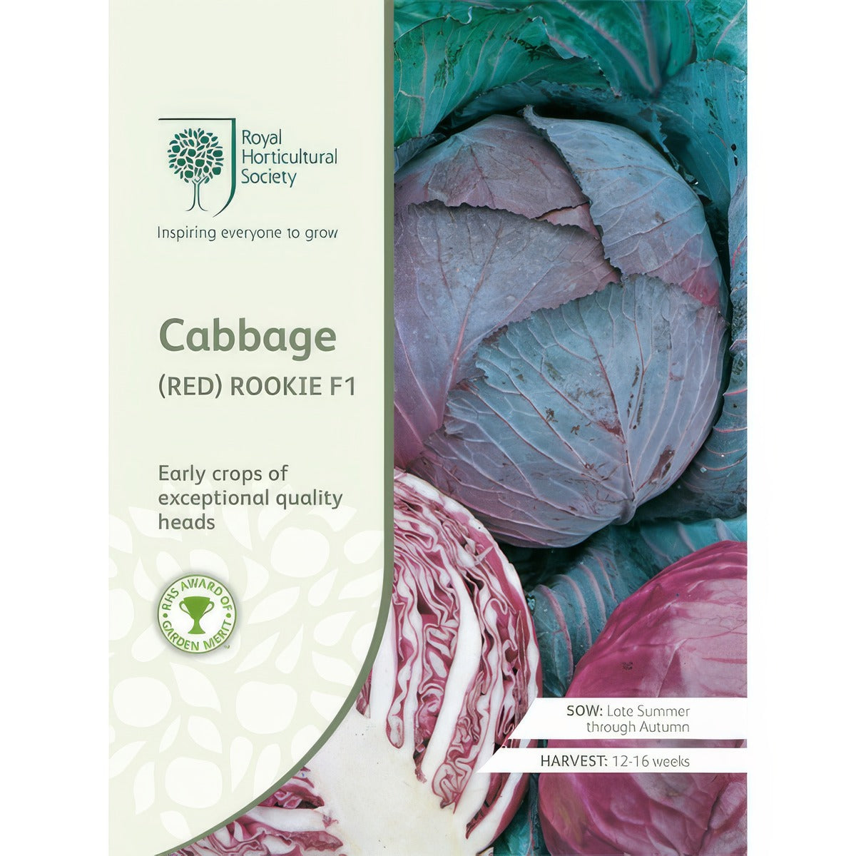 Seed Rhs Cabbage Red Rookie F1 Seerhscrr - Garden Express Australia