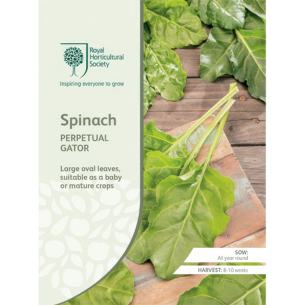 Seed Rhs Spinach Perpetual Gator Seerhsspg - Garden Express Australia