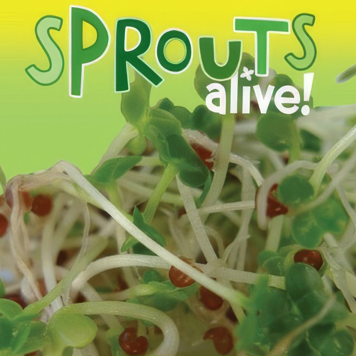Sprouts Alive Asian Greens Mix Seesalagm - Garden Express Australia