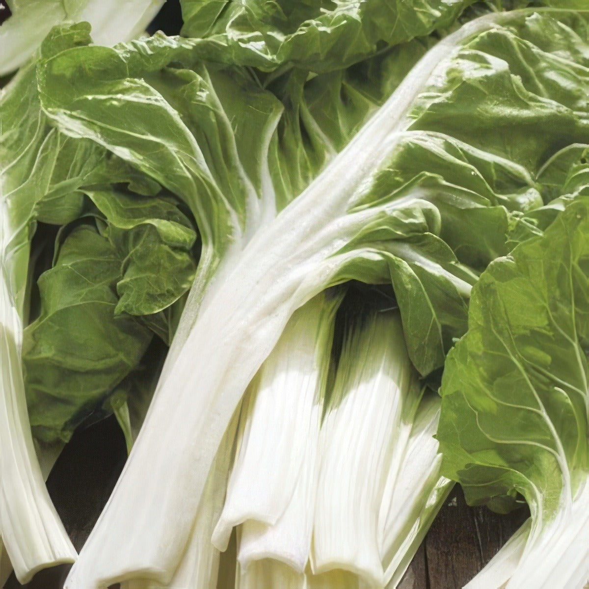 Seed Silverbeet White Silver Organic Seesilwso - Garden Express Australia