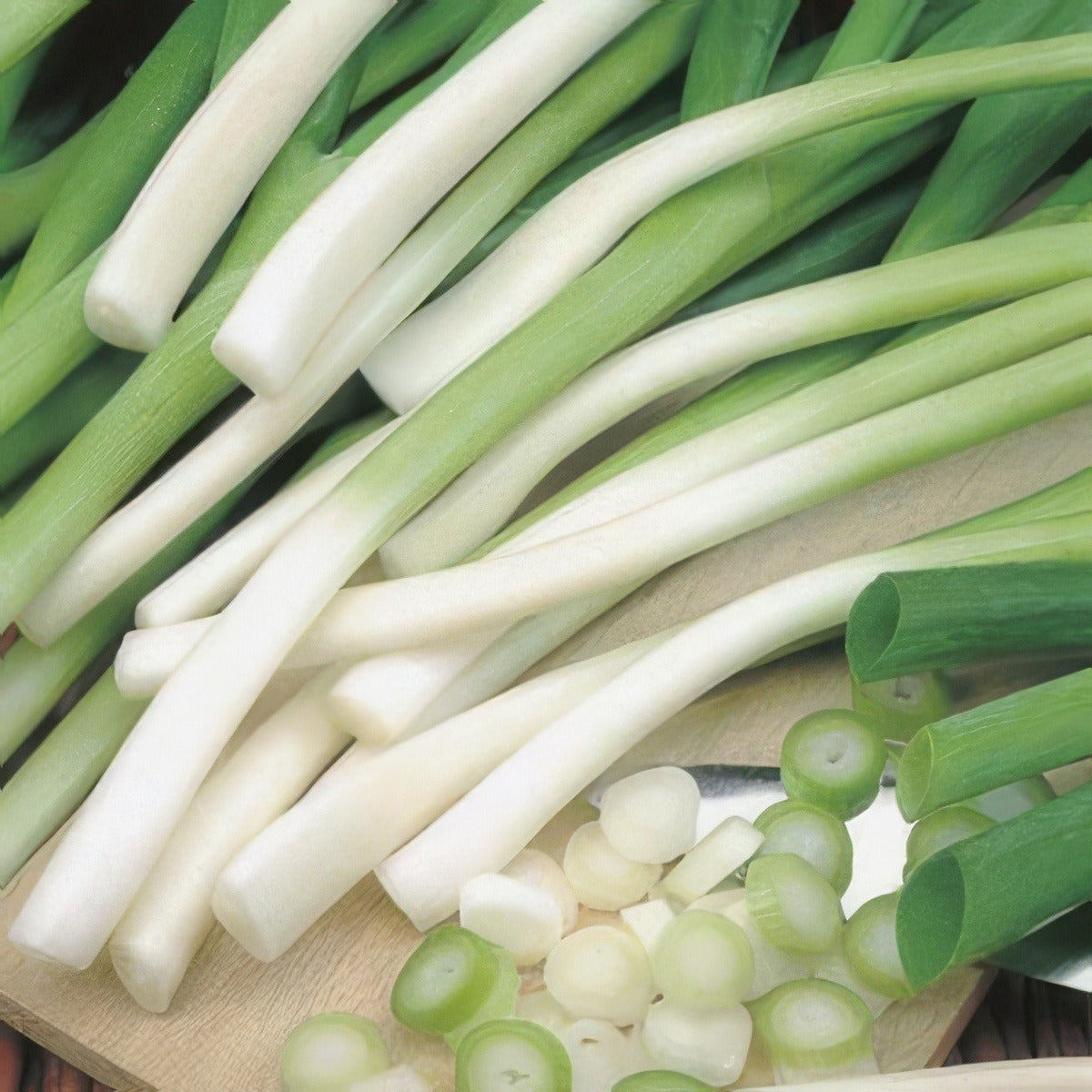 Seed Spring Onion Ishikura 2019 Seesonbis - Garden Express Australia