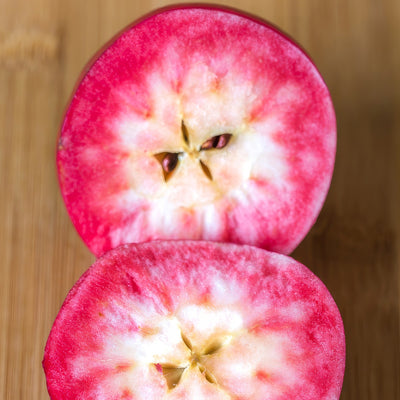 Dwarf Apple Magnus Summer Surprise Fruit - Garden Express Australia