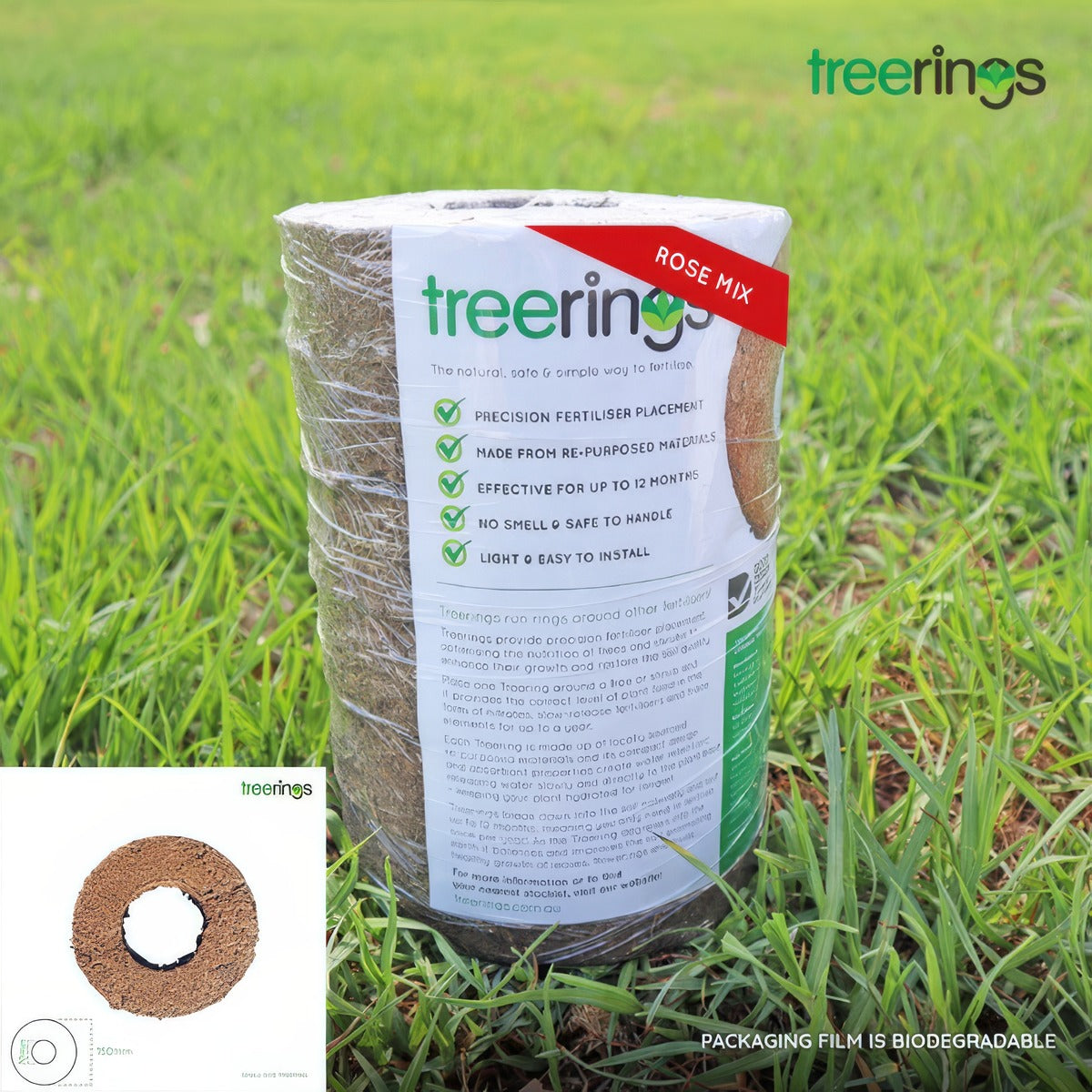Rose Treerings Small Pack Of 6 Accrtrn6 1 - Garden Express Australia