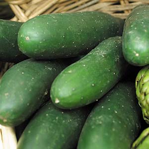 Seed – Cucumber Marketmore Organic