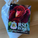 Rose The R.s.l Rose