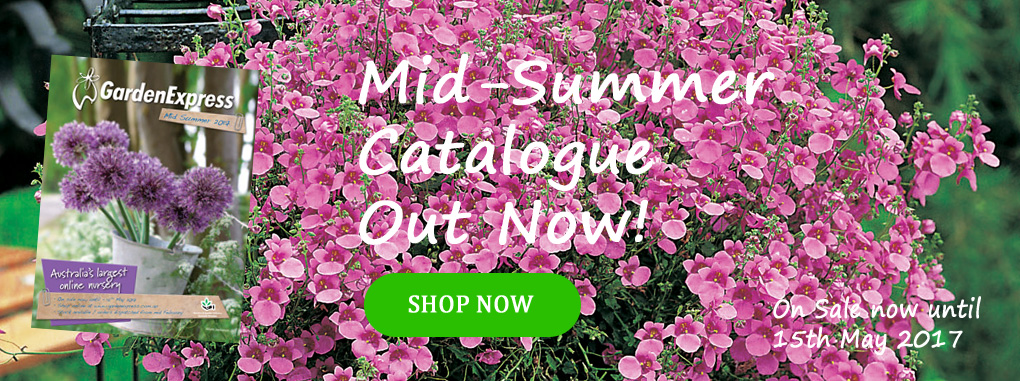 Australia's leading gardening supplier - Garden Express