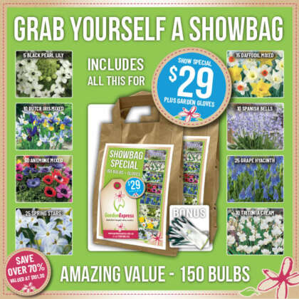 Bulbs - Garden Express - Australia's Largest Online Nursery