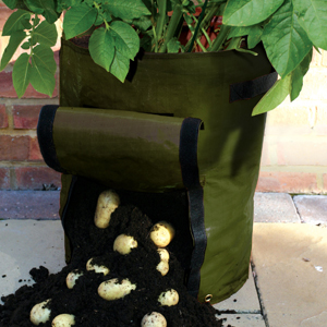 Growing Potatoes in Potato Grow Bags  Jennifer Rizzo