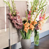 Gladioli Mixed 10pk