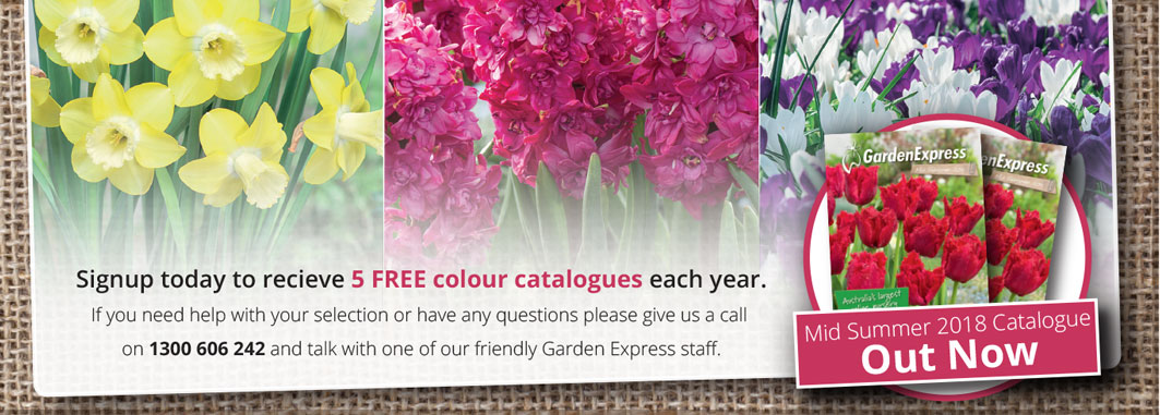 Australia's largest online and mail order garden supplier - Garden Express