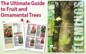 Book - Flemings Ultimate Guide To Fruit And Ornamental Trees - Garden ...