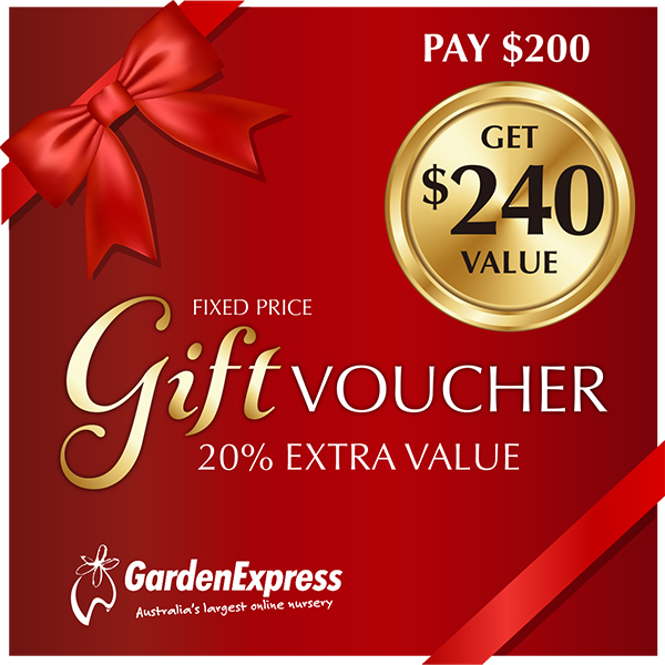 120 Dollar Garden Express Gift Voucher For 100 Dollars