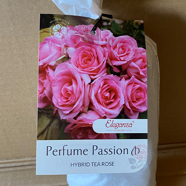 Rose Perfume Passion (pbr)