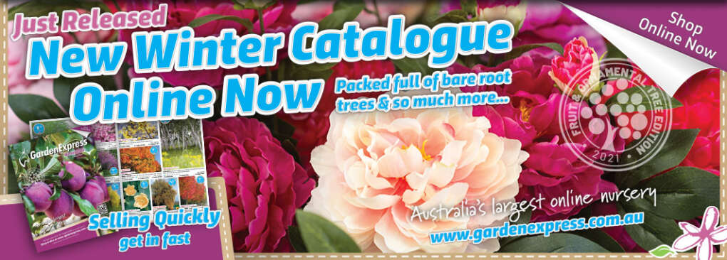 Australia's largest online and mail order garden supplier - Garden Express