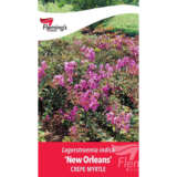 Crepe Myrtle New Orleans P20cmynor - Garden Express Australia