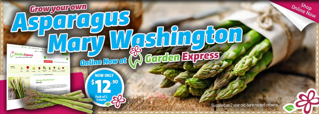 Asparagus Mary Washington - Garden Express Australia